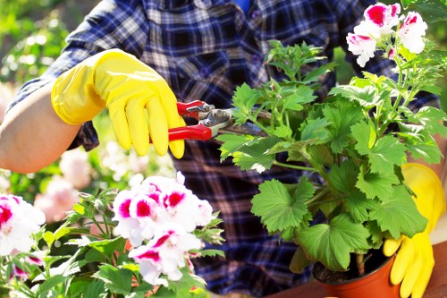 Professional gardener preparing a residential garden for maintenance