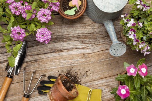 Healthy residential lawn care in Lisson Grove with neat green turf