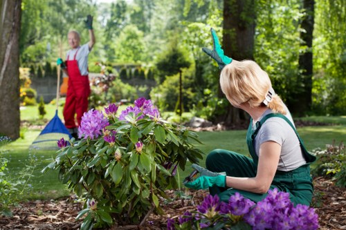 Gardeners in Lisson Grove working on a healthy urban garden