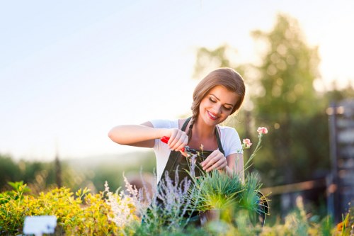 Professional gardening contractor finalising service terms and compliance