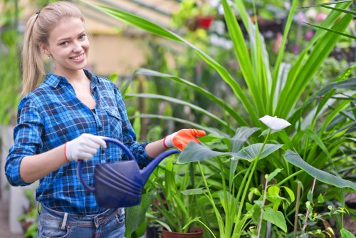 Gardeners in Lisson Grove working on a well-kept urban garden