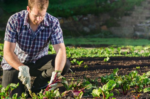 Gardener working safely with protective equipment in a London garden