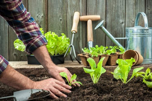 Seasonal lawn mowing service for Lisson Grove homes
