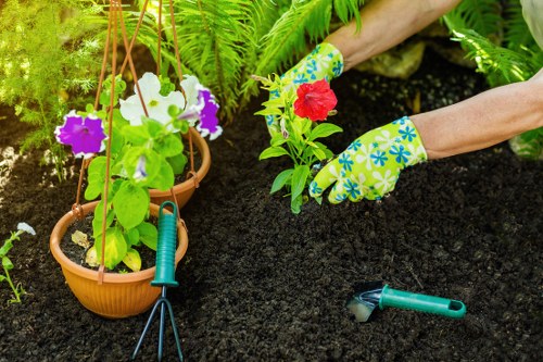 Planning a landscaping project in Lisson Grove
