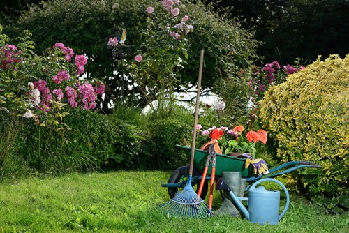 Professional gardening services in Lisson Grove for a tidy residential garden