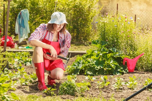 Essential and analytics cookies explained for Gardeners Lisson Grove