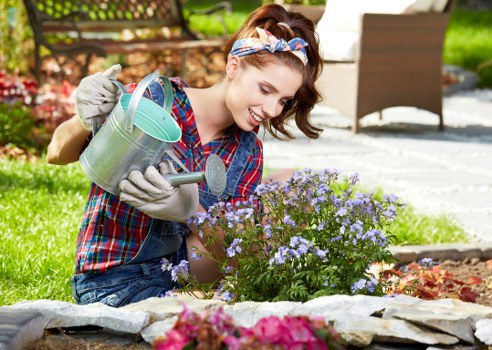 Seasonal gardening services in Lisson Grove for a well-kept outdoor space