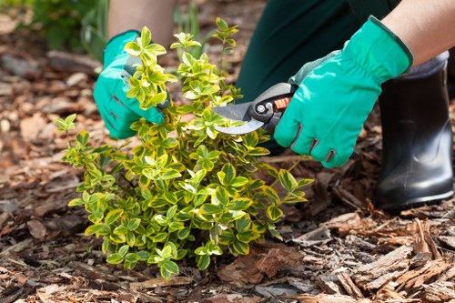 Illustration of a gardener responding to a service complaint