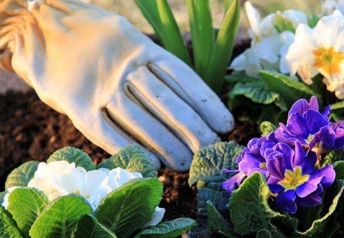 Garden waste pricing estimate for a Lisson Grove courtyard garden