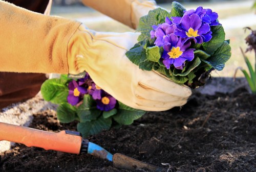 Picture representing corrective action in garden maintenance