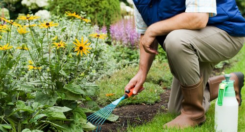 Accessible gardening information for the Lisson Grove area