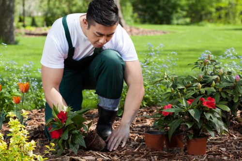 Free quote discussion for garden maintenance at a small urban property