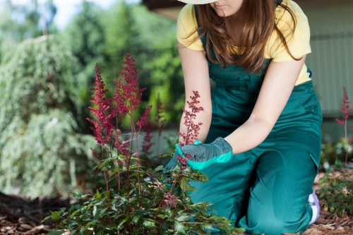 Team clearing shrubs and debris in a London garden