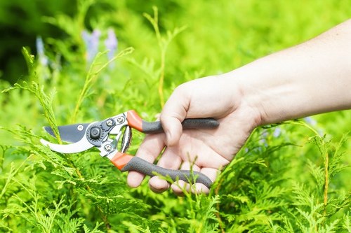 Professional gardeners following a health and safety policy