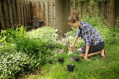 Mixed planting ideas for a Lisson Grove landscape garden