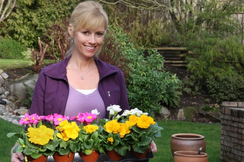 Commercial gardening services in Lisson Grove for polished business exteriors
