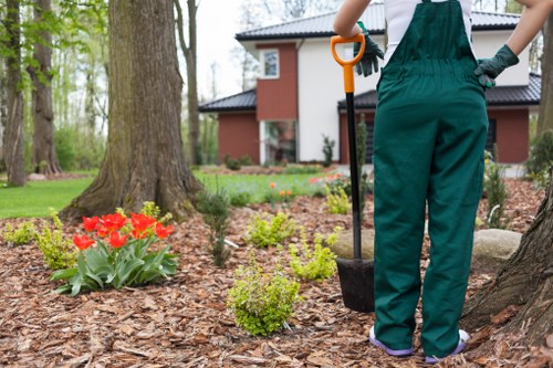 Regular lawn maintenance for a tidy Lisson Grove property