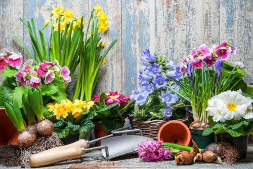Transparent final pricing for garden work in Lisson Grove