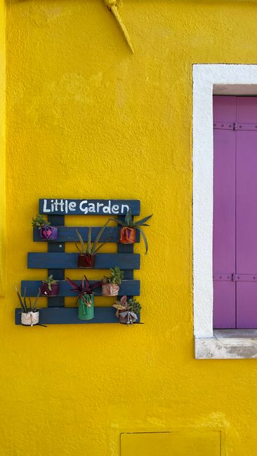 A brightly painted yellow wall features a decorative wall hanging labeled 'Little Garden' made from a dark painted wooden pallet with multiple small potted plants, each wrapped in colorful fabric or p